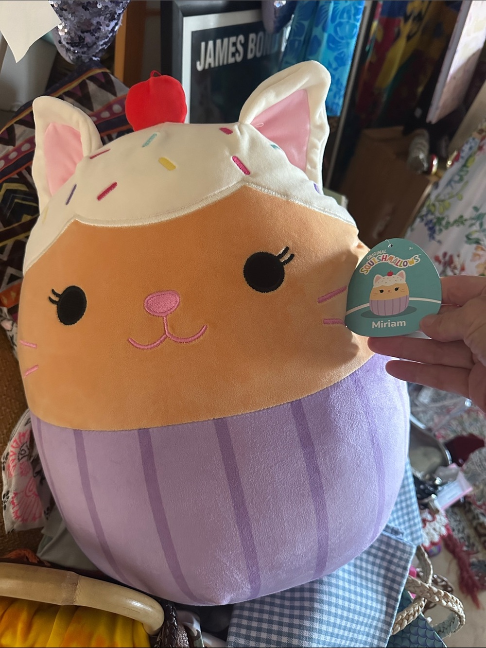 Squishmallows Miriam Cupcake Cat & Anirollz SquishyBall Set - NWT - A GREAT Gift - Picture 4 of 8